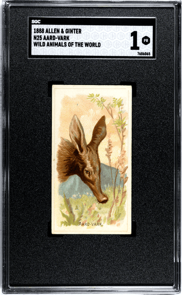 1888 N25 Allen & Ginter Aardvark Wild Animals of the World SGC 1 front of card