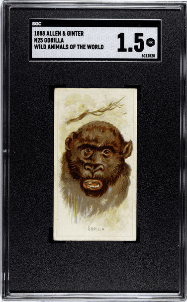 1888 N25 Allen & Ginter Gorilla Wild Animals of the World SGC 1.5 front of card