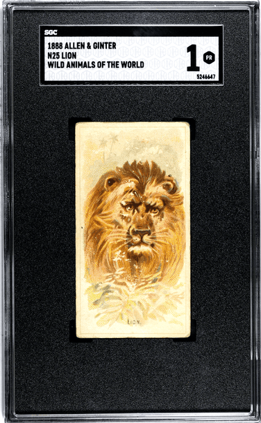 1888 N25 Allen & Ginter Lion Wild Animals of the World SGC 1 front of card