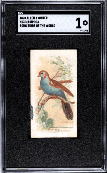 1890 N23 Allen & Ginter Mariposa Song Birds of the World SGC 1 front of card