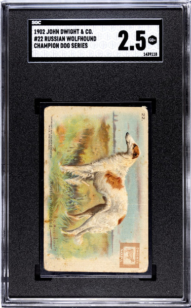 1902 John Dwight & Co. Russian Wolfhound #22 Champion Dog Series SGC 2.5 front of card