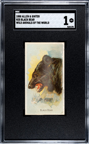 1888 N25 Allen & Ginter Black Bear Wild Animals of the World SGC 1 front of card