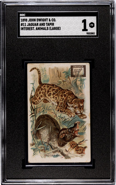 1898 John Dwight & Co. Jaguar and Tapir #11 Interesting Animals, Large SGC 1 front of card
