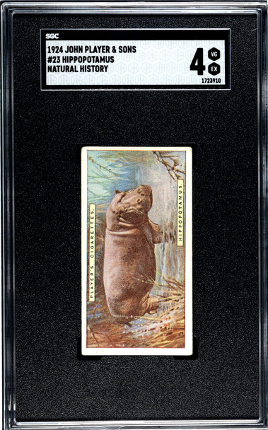 1924 John Player & Sons Hippopotamus #23 Natural History SGC 4 front of card