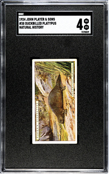 1924 John Player & Sons Duckbilled Platypus #38 Natural History SGC 4 front of card