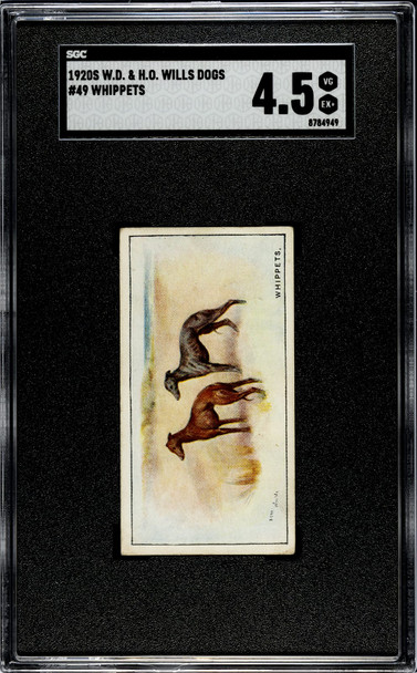 1920 W.D. & H.O. Wills Whippets #49 Dogs SGC 4.5 front of card