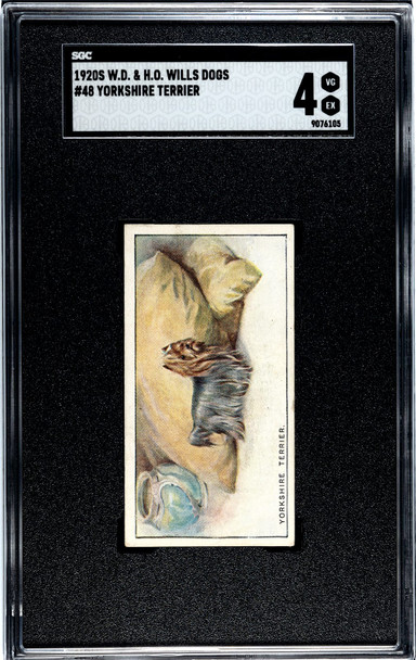 1920 W.D. & H.O. Wills Yorkshire Terrier (Yorky) #48 Dogs SGC 4 front of card
