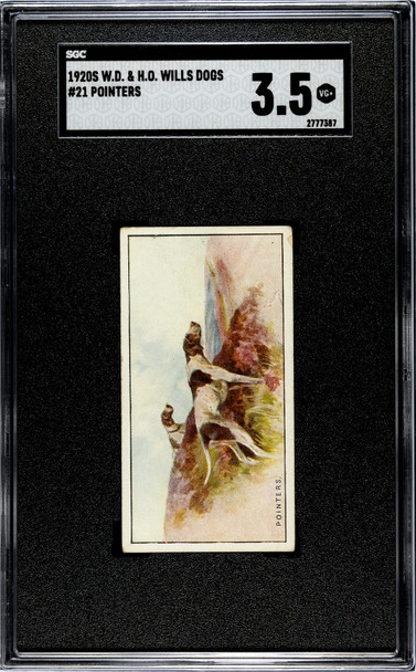 1920 W.D. & H.O. Wills Pointers #21 Dogs SGC 3.5 front of card