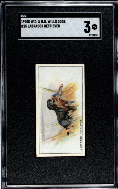 1920 W.D. & H.O. Wills Labrador Retriever #25 Dogs SGC 3 front of card