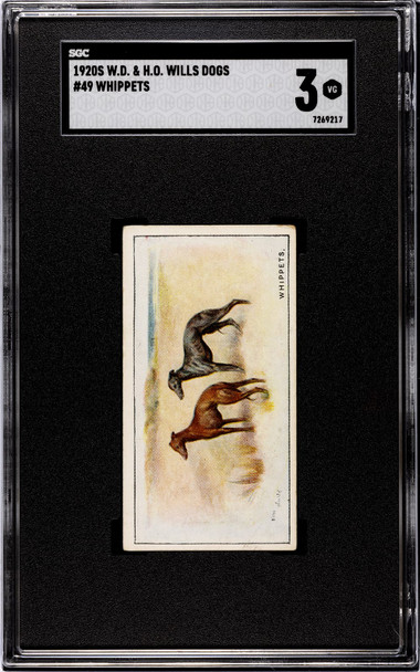 1920 W.D. & H.O. Wills Whippets #49 Dogs SGC 3 front of card