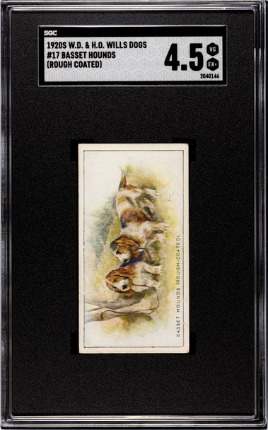 1920 W.D. & H.O. Wills Basset Hounds Rough Coated #17 Dogs SGC 4.5 front of card