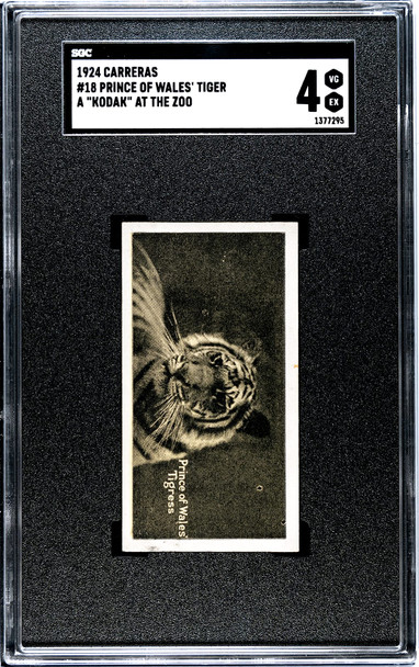 1924 Carreras Ltd. Prince Of Wales Tiger #18 A Kodak at the Zoo SGC 4 front of card