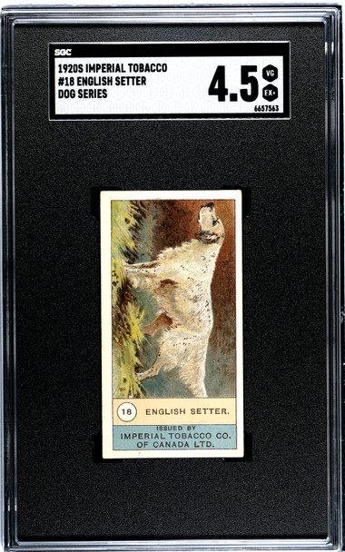 1920 W.D. & H.O. Wills English Setter #18 Dogs SGC 4.5 front of card