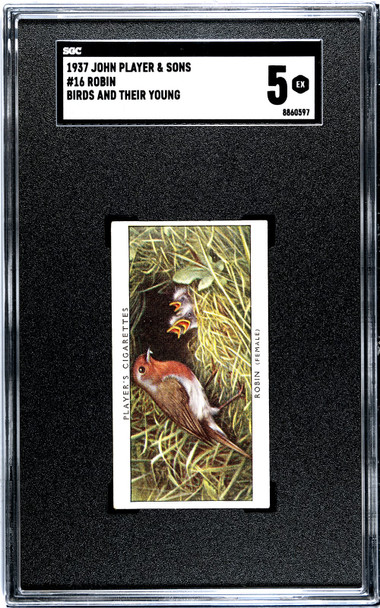 1937 John Player & Sons Robin #16 Birds and Their Young SGC 5 front of card