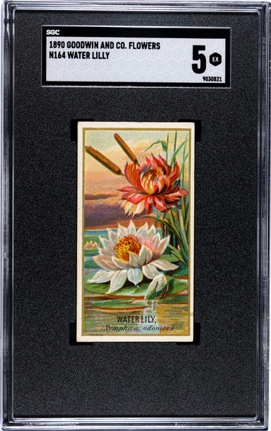 1890 N164 Goodwin & Co. Water Lily Flowers SGC 5 front; SGC label says Water Lilly