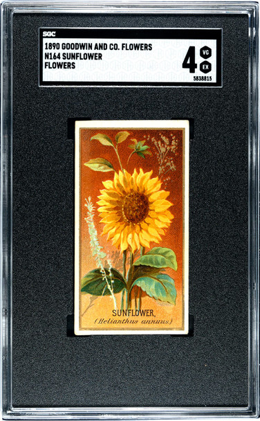 1890 Goodwin & Co. Sunflower Flowers SGC 4 front of card