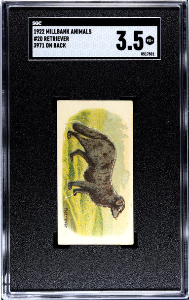 1922 Millbank  Animals Retriever 3971 On Back #20 SGC 3.5 front of card