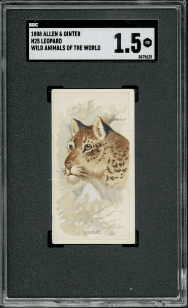1888 N25 Allen & Ginter Leopard Backstamp Wild Animals of the World SGC 1.5 front of card