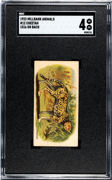 1922 Millbank Animals Cheetah 1516 On Back #12 SGC 4 front of card