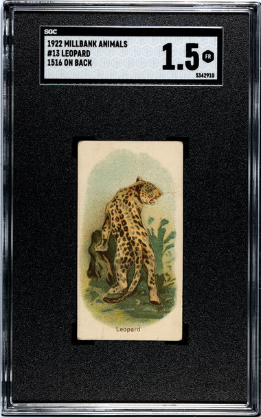 1922 Millbank Animals Leopard 1516 On Back #13 SGC 1.5 front of card