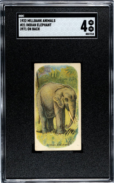 1922 Millbank Animals Indian Elephant 3971 On Back #21 SGC 4 front of card