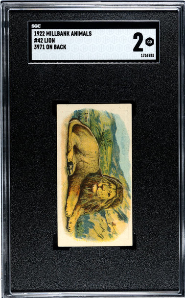 1922 Millbank Animals Lion 3971 On Back #42 SGC 2 front of card