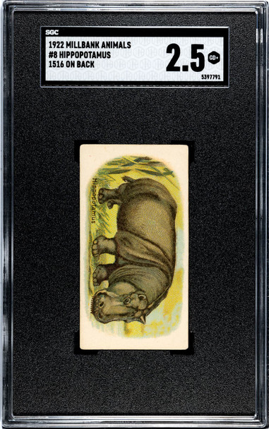 1922 Millbank Animals Hippopotamus 1516 On Back #8 SGC 2.5 front of card
