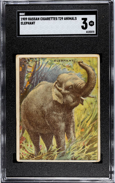 1909 Hassan Cigarettes Elephant Animals SGC 3 front of card