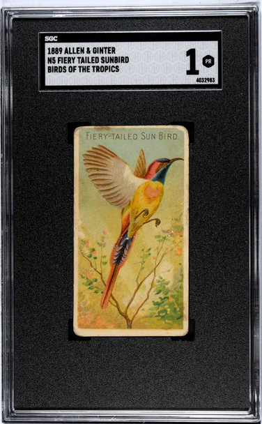 1889 Allen & Ginter Festive Green Parrot Birds Of The Tropics SGC 1 front of card
