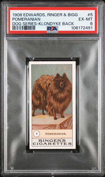 1908 Edwards, Ringer & Bigg Pomeranian #5 Dog Series Factory No. Klondyke Back PSA 6 front of card