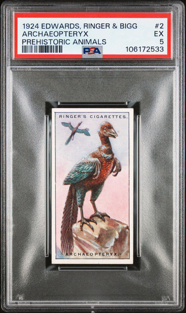 1924 Edwards, Ringer & Bigg Archaeopteryx #2 Prehistoric Animals PSA 5 front of card