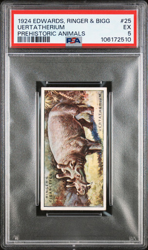 PSA 5 1924 Edwards, Ringer & Bigg Uertatherium #25 Prehistoric Animals
