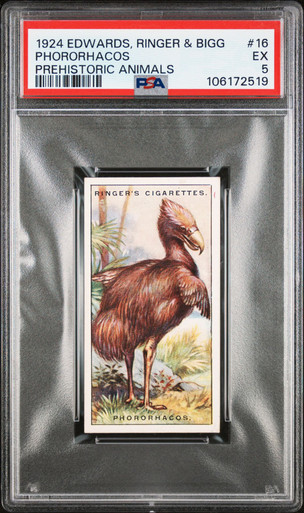 PSA 5 1924 Edwards, Ringer & Bigg Phororhacos #16 Prehistoric Animals