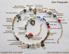 The spiral chart demonstrates how beads and charms tell the story of Don Pasquale.