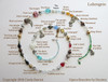 The spiral chart demonstrates how symbolic beads and charms tell the story of Wagner's opera Lohengrin.