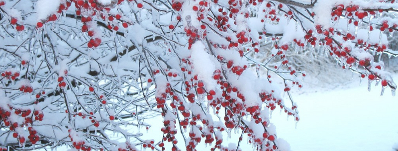 Opera Songs for snow shoveling*
