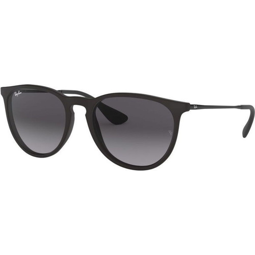 Ray-Ban Erika Classic RB4171 Matte Black Sunglasses Angle Image