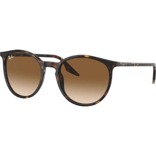 Ray-Ban RB2204 Havana Light Brown Angle