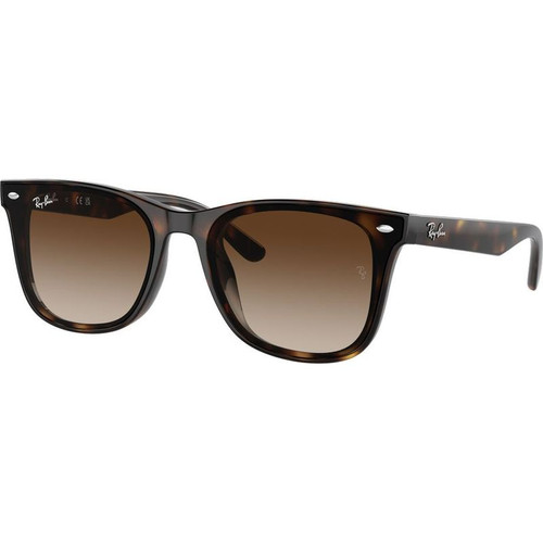 Ray-Ban RB44420 Havana Brown Gradient Angle