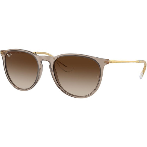 Ray-Ban Erika Classic RB4171F Transparent Light Brown Brown Angle
