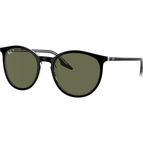 Ray-Ban RB2204 Black on Transparent Angle
