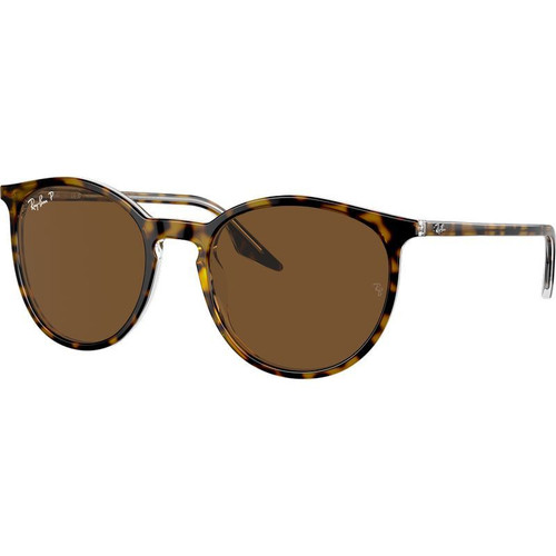 Ray-Ban RB2204 Havana on Transparent Angle