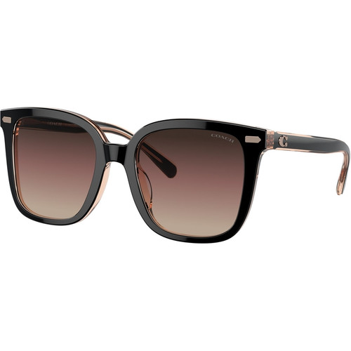 Coach HC8381U Angle Image