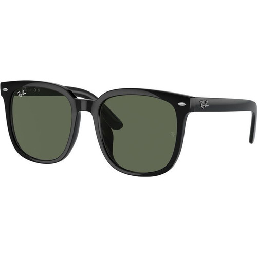 Ray-Ban RB4401D Black Dark Green Angle