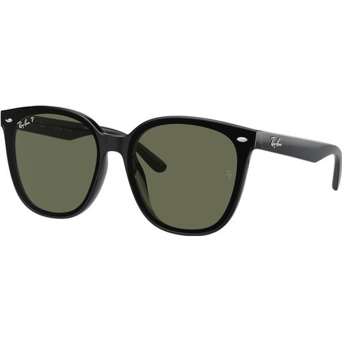Ray-Ban RB4423D Black Dark Green Polarised Angle