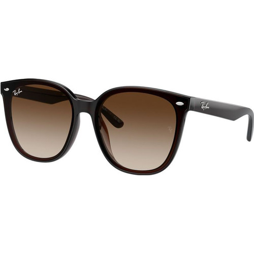 Ray-Ban RB4423D Transparent Brown Angle