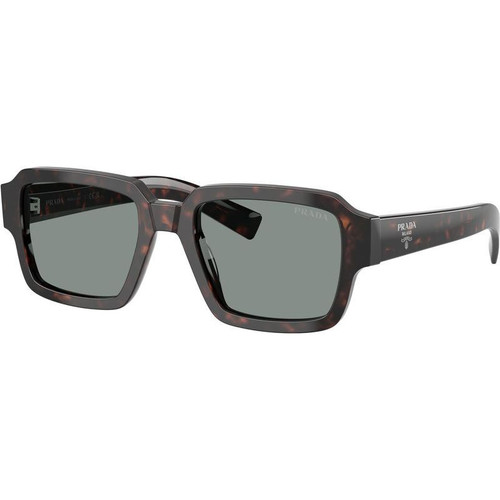 Prada PR02ZS Root Tortoise Blue Angle