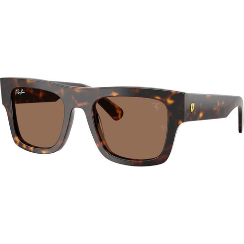 Ray-Ban RB2217M Havana Dark Brown Angle