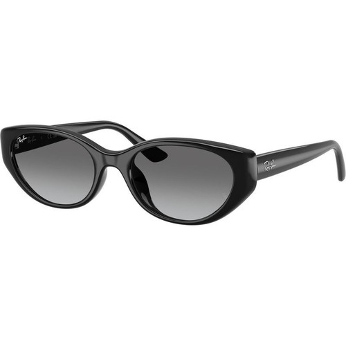 Ray-Ban RB4457D Black Grey Gradient Angle