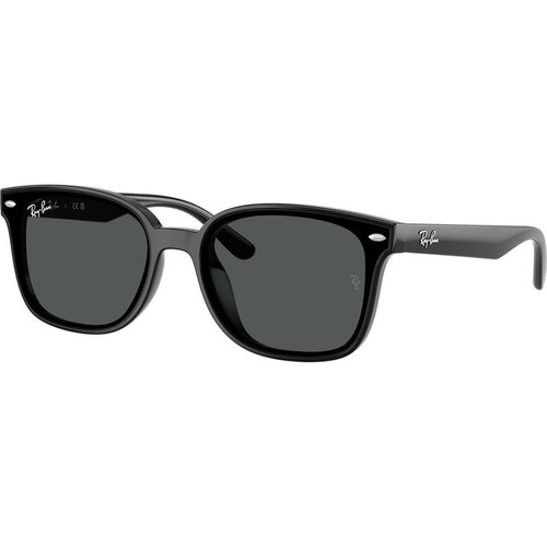 Ray-Ban RB4461D Black Dark Grey Angle